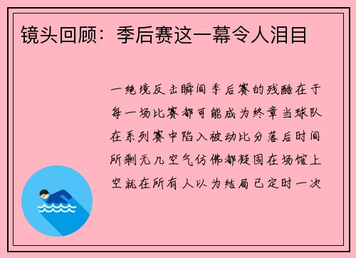 镜头回顾：季后赛这一幕令人泪目